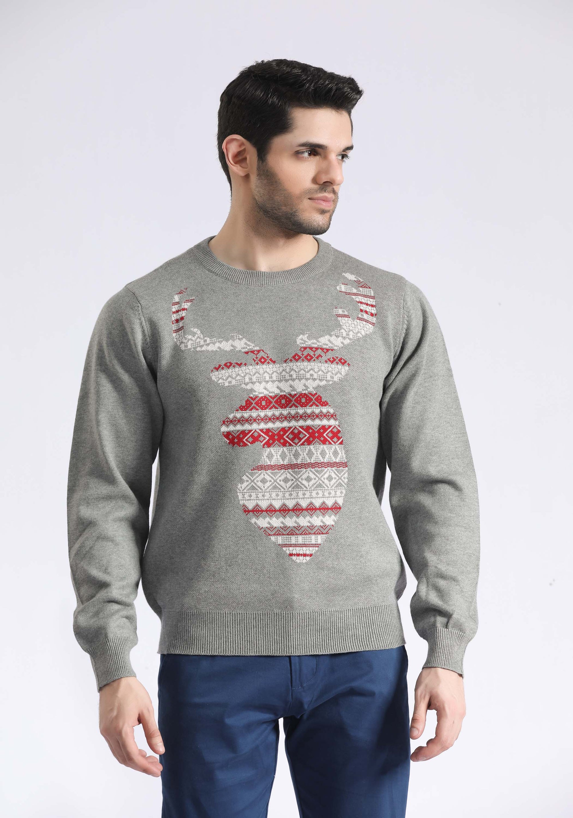 Basic Printed Sweaters